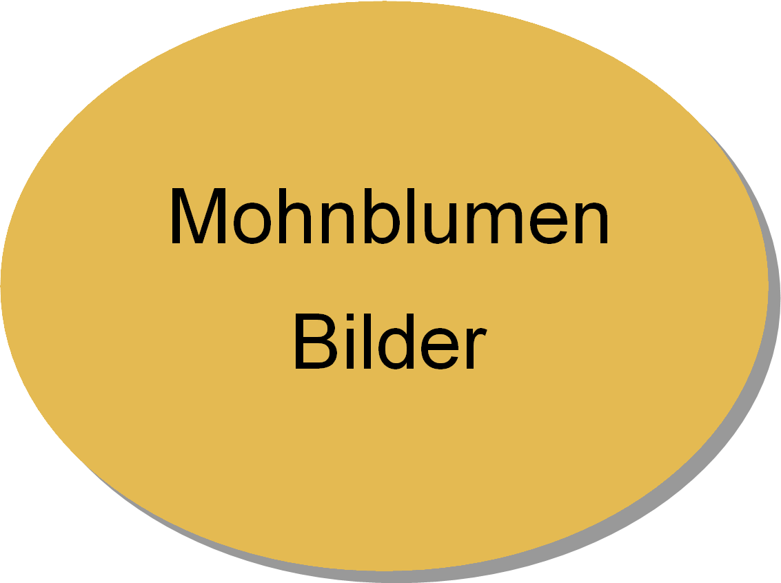 Mohnblumnebilder